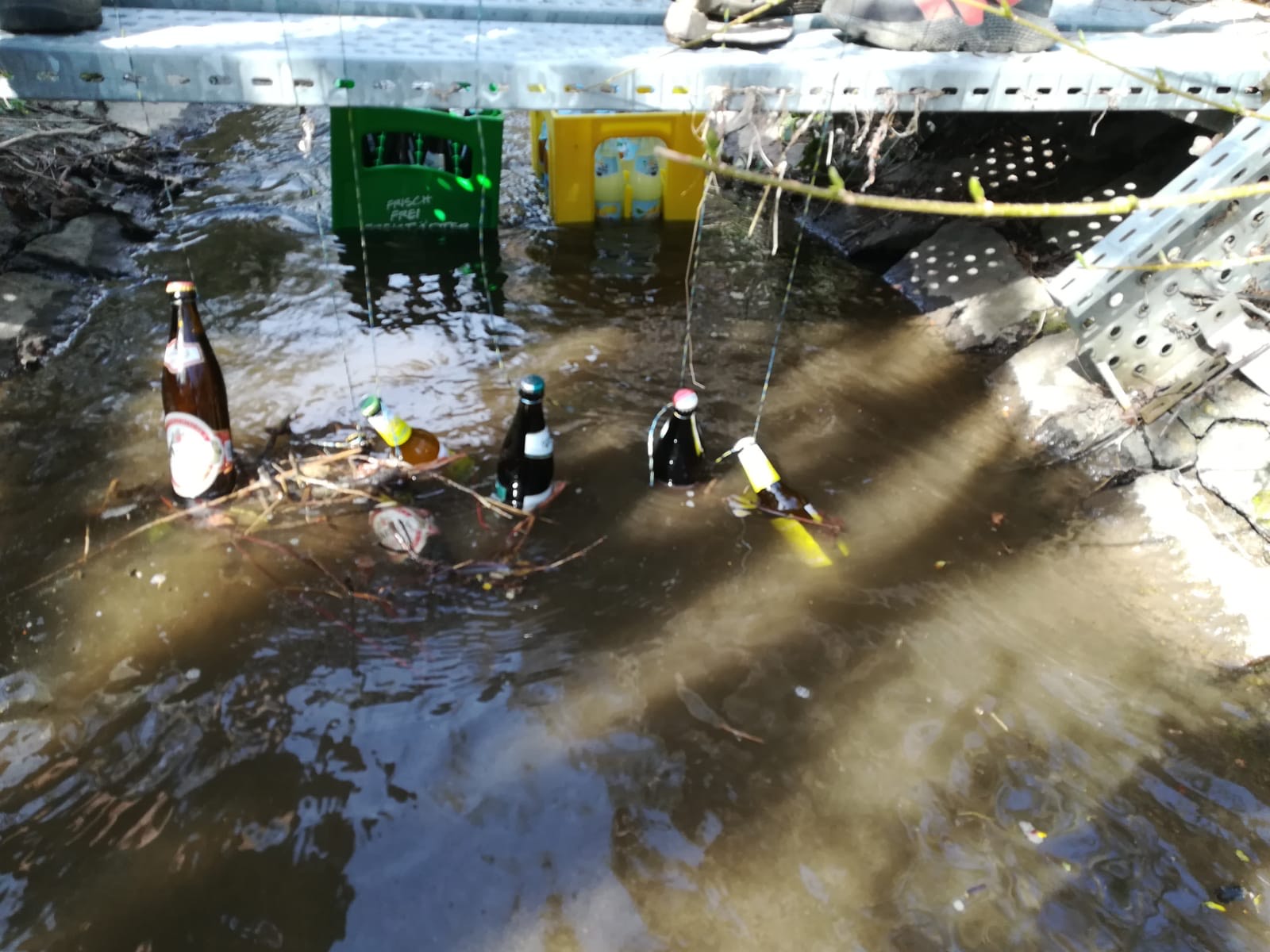 3ba43880 2956 4eef b4f1 affbcccb513a