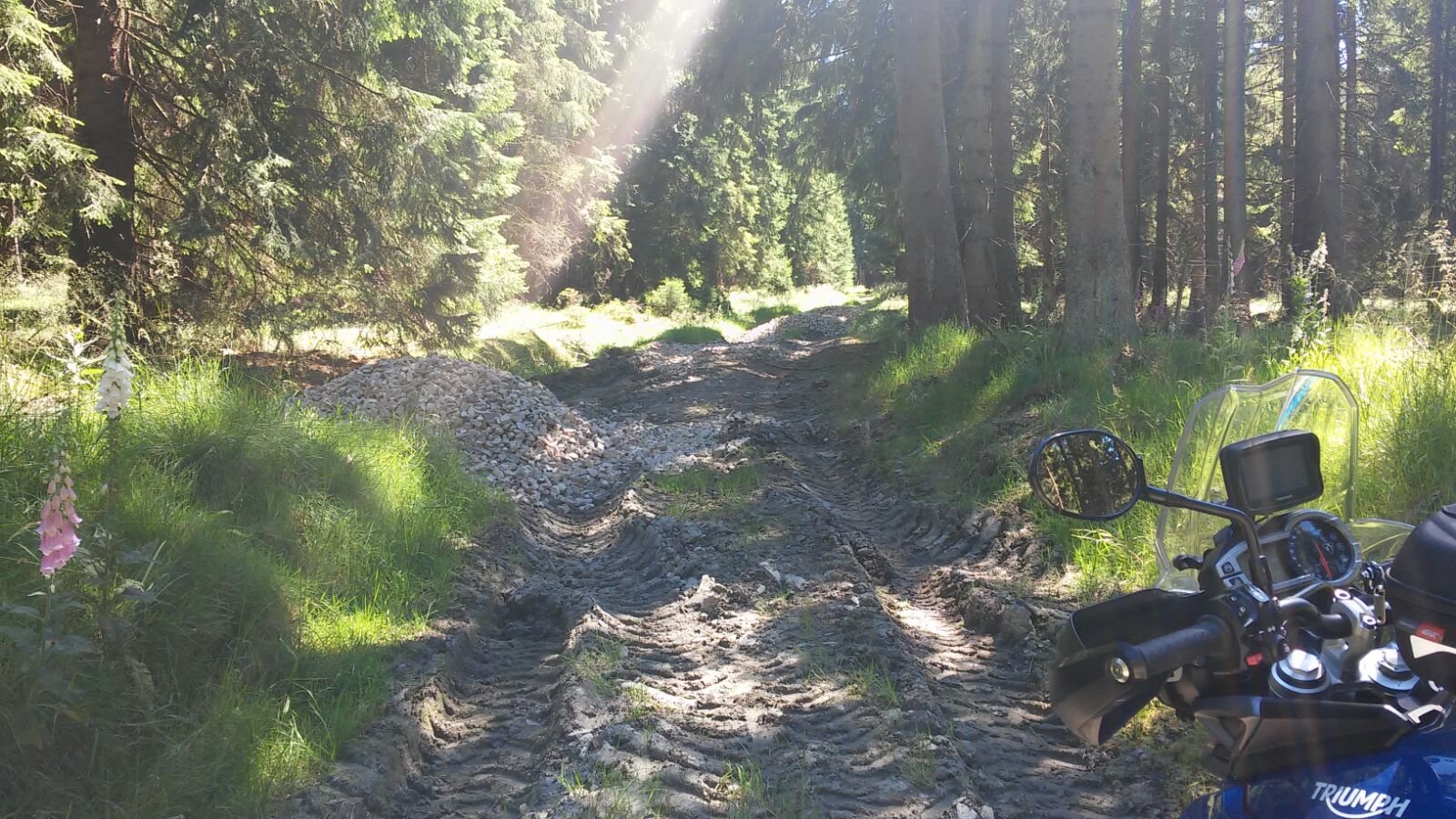 IMG 20180719 WA0014
