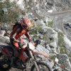 Granitbeisser