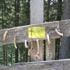Salzstiegl 12.8.-15.8.2017